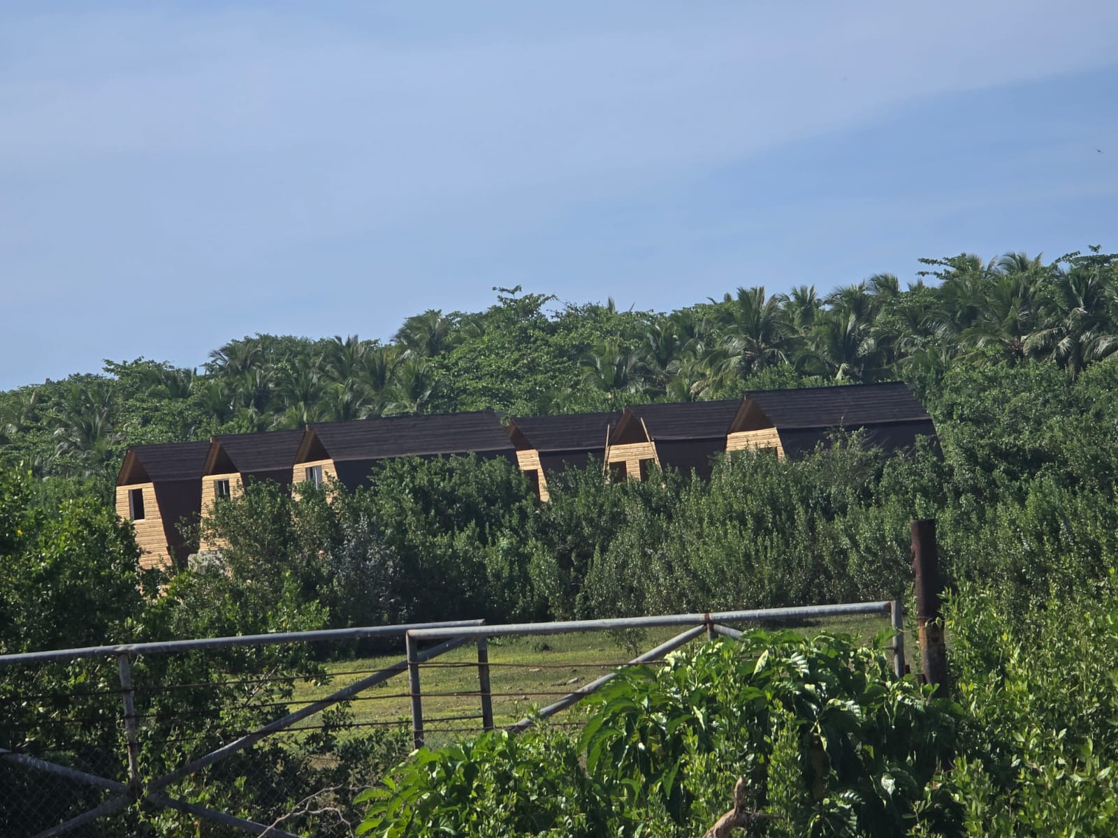 Row of wooden eco cabins surrounded by tropical jungle in Uvero Alto